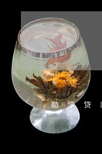 助学贷款逾期怎么还逾息 助学贷款逾期怎么还逾息