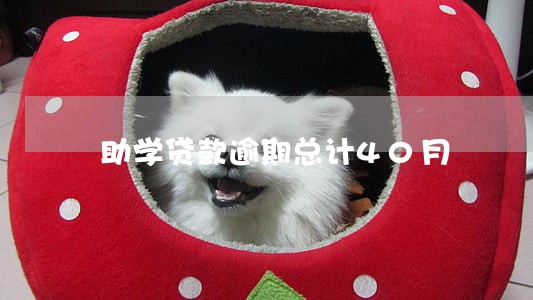 助学贷款逾期总计40月 助学贷款逾期总计40月