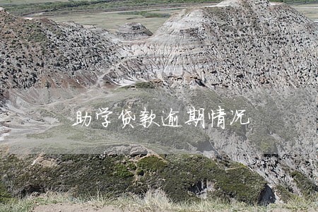 助学贷款逾期情况 助学贷款逾期情况