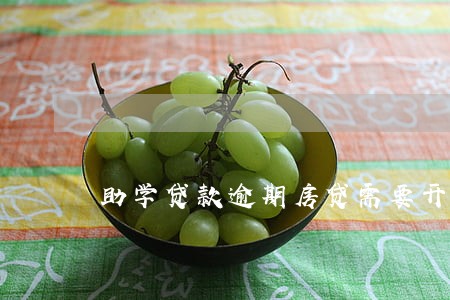 助学贷款逾期房贷需要开证明 助学贷款逾期房贷需要开证明