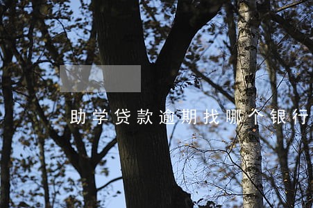助学贷款逾期找哪个银行 助学贷款逾期找哪个银行