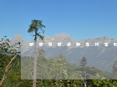 助学贷款逾期支付宝如何申请还款 助学贷款逾期支付宝如何申请还款