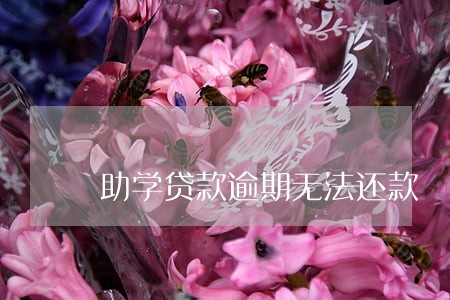 助学贷款逾期无法还款 助学贷款逾期无法还款
