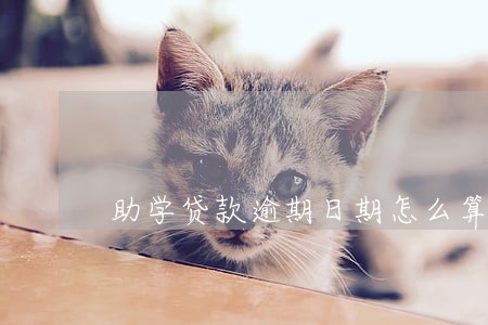 助学贷款逾期日期怎么算的