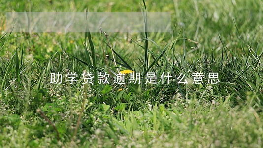 助学贷款逾期是什么意思 助学贷款逾期是什么意思