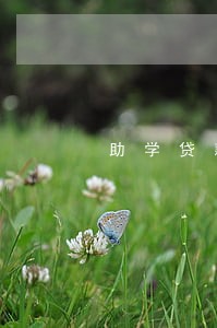 助学贷款逾期月份数22 助学贷款逾期月份数22