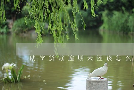 助学贷款逾期未还该怎么还款 助学贷款逾期未还该怎么还款
