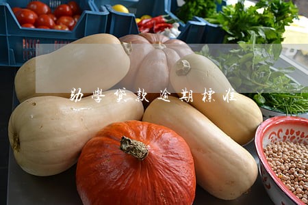 助学贷款逾期标准 助学贷款逾期标准