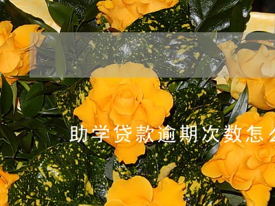 助学贷款逾期次数怎么计算 助学贷款逾期次数怎么计算