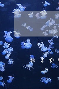 助学贷款逾期没钱还怎么办 助学贷款逾期没钱还怎么办