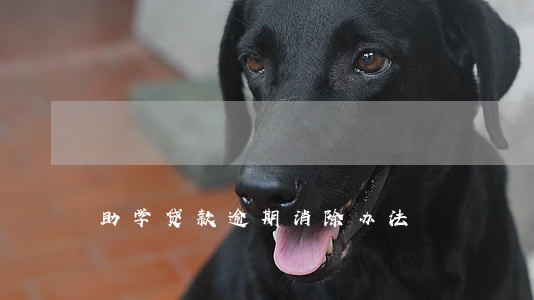 助学贷款逾期消除办法 助学贷款逾期消除办法