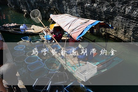 助学贷款逾期滞纳金 助学贷款逾期滞纳金