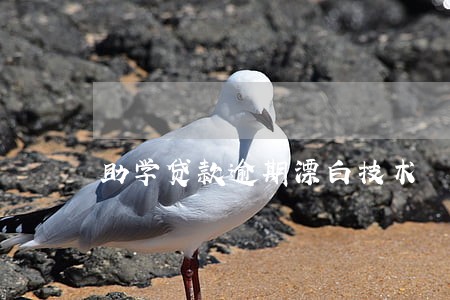 助学贷款逾期漂白技术 助学贷款逾期漂白技术
