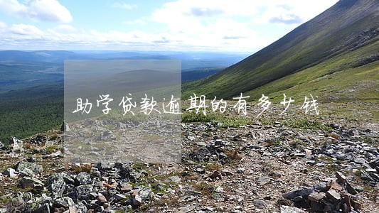 助学贷款逾期的有多少钱 助学贷款逾期的有多少钱