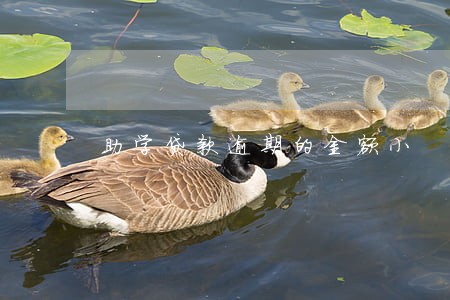 助学贷款逾期的金额小 助学贷款逾期的金额小