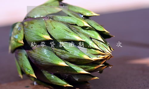助学贷款逾期累计5次 助学贷款逾期累计5次