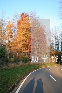 助学贷款逾期终身不能贷款 助学贷款逾期终身不能贷款