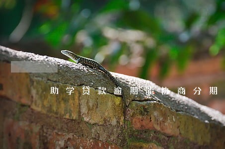 助学贷款逾期能协商分期么 助学贷款逾期能协商分期么