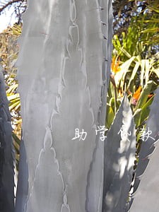 助学贷款逾期能商贷 助学贷款逾期能商贷
