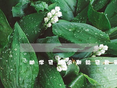 助学贷款逾期能贷款买房 助学贷款逾期能贷款买房