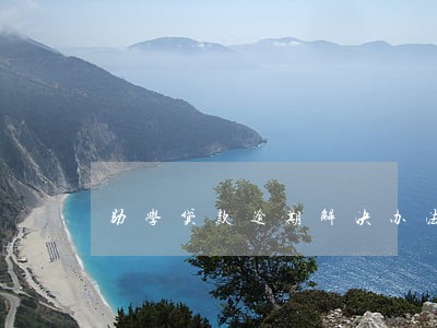 助学贷款逾期解决办法