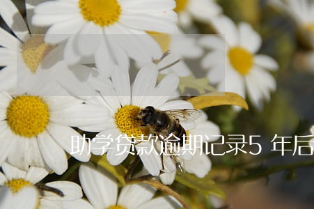 助学贷款逾期记录5年后 助学贷款逾期记录5年后
