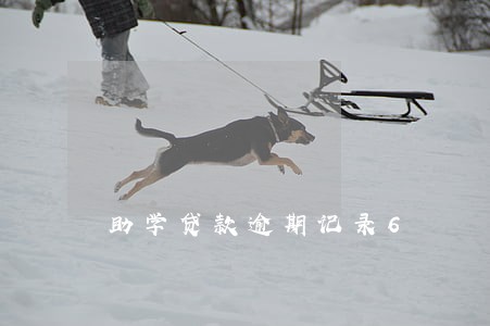 助学贷款逾期记录6 助学贷款逾期记录6