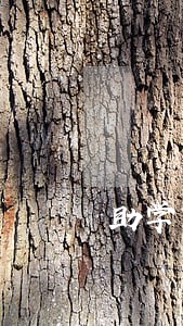 助学贷款逾期记录两年一更新 助学贷款逾期记录两年一更新