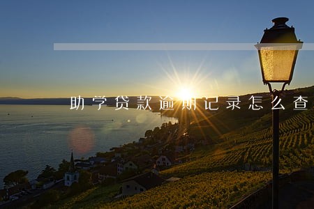 助学贷款逾期记录怎么查询