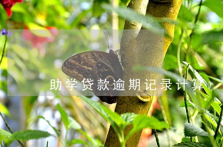 助学贷款逾期记录计算 助学贷款逾期记录计算