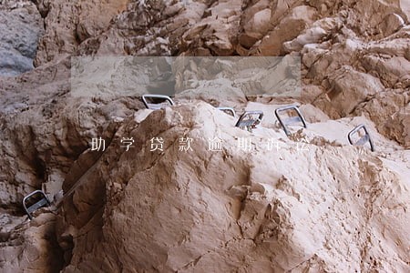 助学贷款逾期诉讼