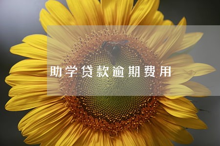 助学贷款逾期费用 助学贷款逾期费用