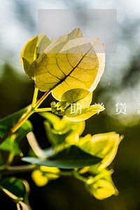 助学贷款逾期还了以后会怎样 助学贷款逾期还了以后会怎样