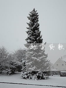助学贷款逾期还款信用记录影响 助学贷款逾期还款信用记录影响