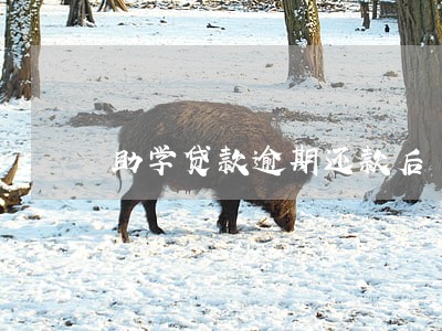 助学贷款逾期还款后 助学贷款逾期还款后