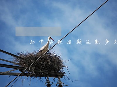 助学贷款逾期还款多久上征信 助学贷款逾期还款多久上征信