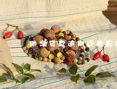 助学贷款逾期还款影响贷款吗 助学贷款逾期还款影响贷款吗