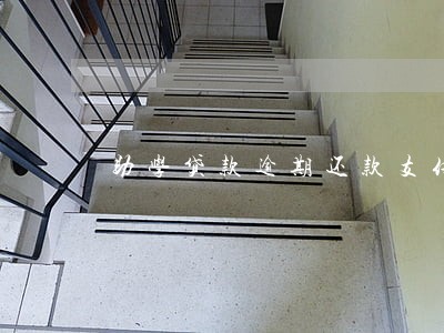 助学贷款逾期还款支付宝 助学贷款逾期还款支付宝