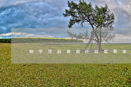 助学贷款逾期还款需要申请吗 助学贷款逾期还款需要申请吗