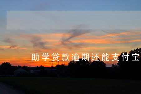 助学贷款逾期还能支付宝还款 助学贷款逾期还能支付宝还款