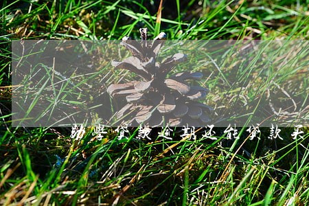 助学贷款逾期还能贷款买房嘛 助学贷款逾期还能贷款买房嘛