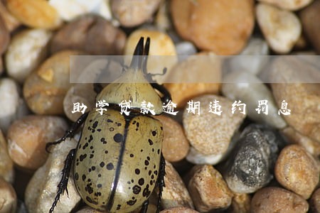 助学贷款逾期违约罚息 助学贷款逾期违约罚息