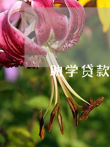 助学贷款逾期连续4次买房 助学贷款逾期连续4次买房