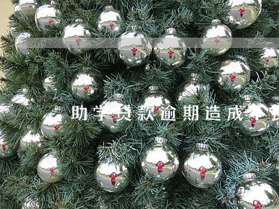 助学贷款逾期造成不良记录 助学贷款逾期造成不良记录