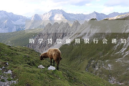 助学贷款逾期银行会通知吗 助学贷款逾期银行会通知吗