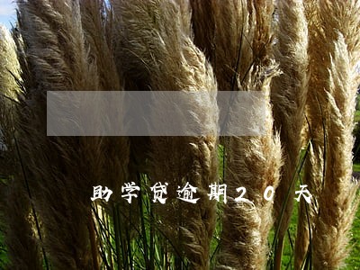 助学贷逾期20天 助学贷逾期20天