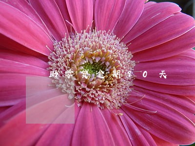 助学贷逾期90天 助学贷逾期90天