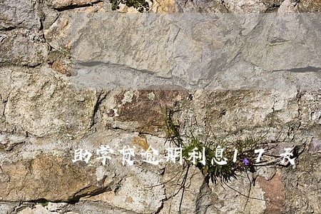 助学贷逾期利息17天 助学贷逾期利息17天