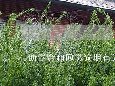 助学金和网贷逾期有关系吗 助学金和网贷逾期有关系吗