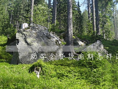助学金贷款逾期怎样还款